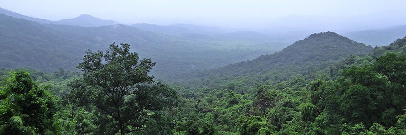 Goa Mollem National Park