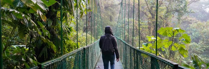 Person walking through Cloud Forest walkway Costa Rica