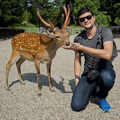 Nick Immiguides Profile