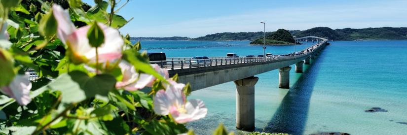 Photo of picturesque bridge over water in Okinawa