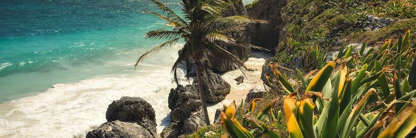 Beach landscape shot in Tulum